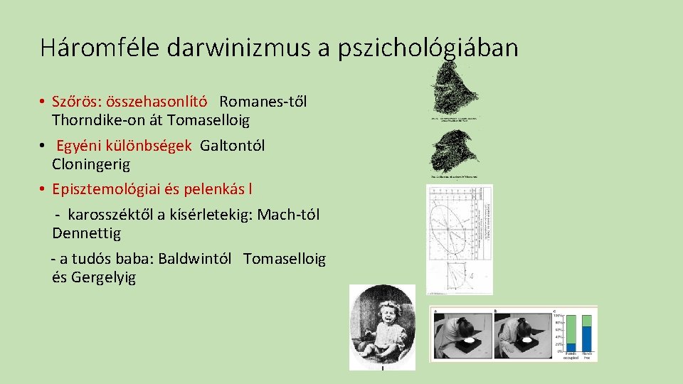 Háromféle darwinizmus a pszichológiában • Szőrös: összehasonlító Romanes-től Thorndike-on át Tomaselloig • Egyéni különbségek
