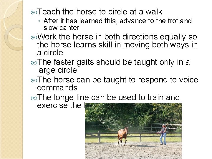  Teach the horse to circle at a walk ◦ After it has learned