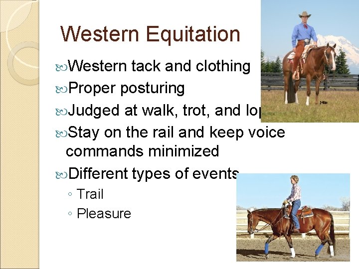 Western Equitation Western tack and clothing Proper posturing Judged at walk, trot, and lope