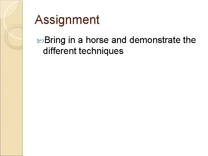 Assignment Bring in a horse and demonstrate the different techniques 