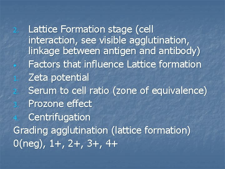 Lattice Formation stage (cell interaction, see visible agglutination, linkage between antigen and antibody) •