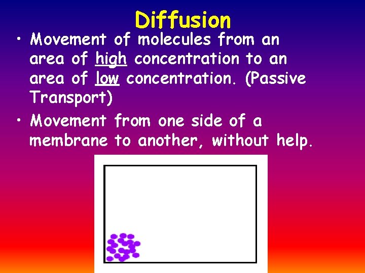 Diffusion • Movement of molecules from an area of high concentration to an area