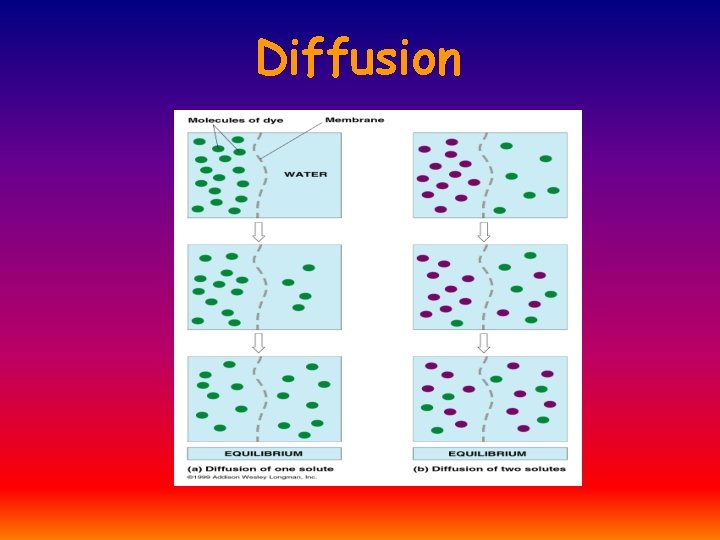 Diffusion 