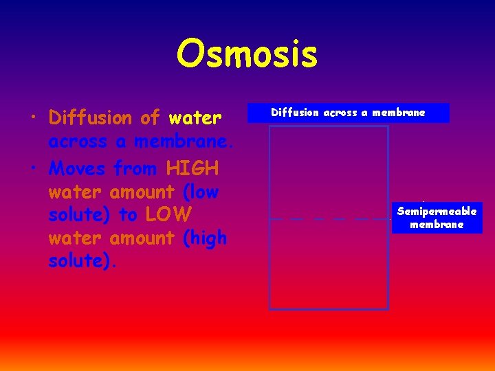 Osmosis • Diffusion of water across a membrane. • Moves from HIGH water amount