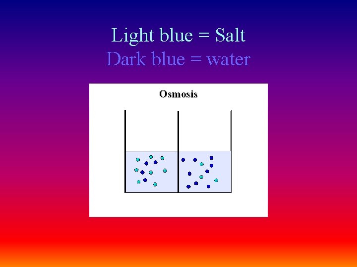 Light blue = Salt Dark blue = water 