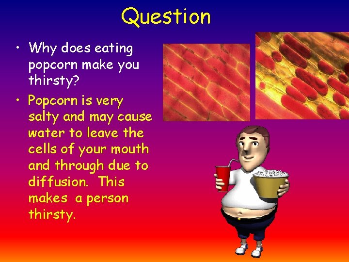 Question • Why does eating popcorn make you thirsty? • Popcorn is very salty
