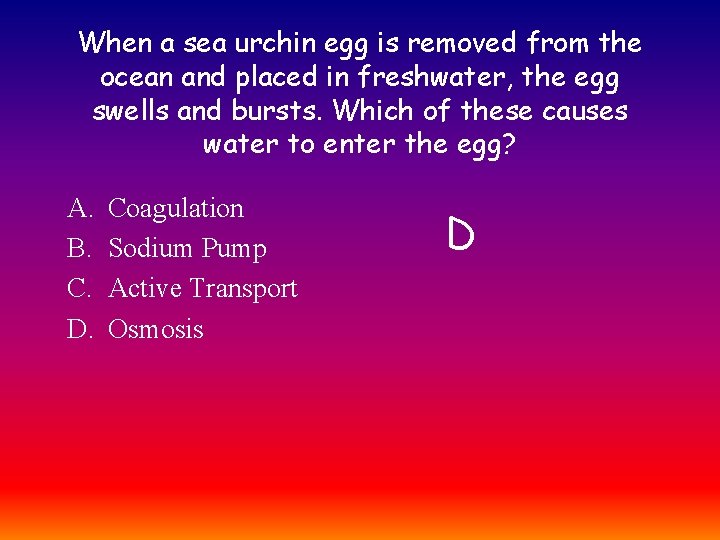When a sea urchin egg is removed from the ocean and placed in freshwater,