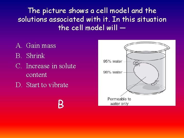 The picture shows a cell model and the solutions associated with it. In this