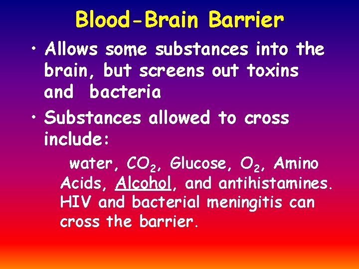 Blood-Brain Barrier • Allows some substances into the brain, but screens out toxins and