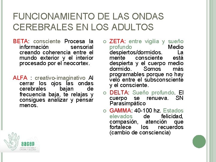 FUNCIONAMIENTO DE LAS ONDAS CEREBRALES EN LOS ADULTOS BETA: consciente Procesa la información sensorial