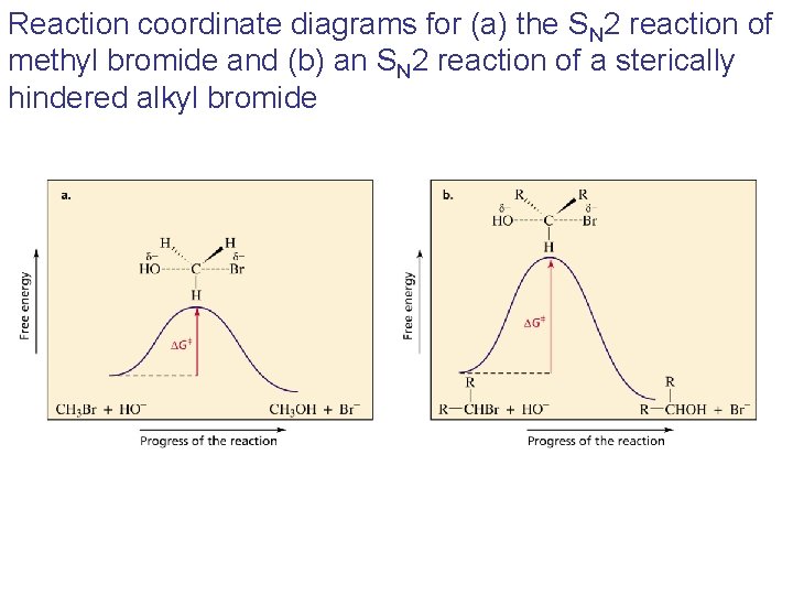 Reaction coordinate diagrams for (a) the SN 2 reaction of methyl bromide and (b)