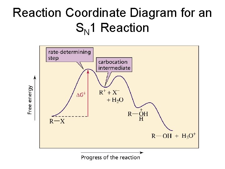 Reaction Coordinate Diagram for an SN 1 Reaction 