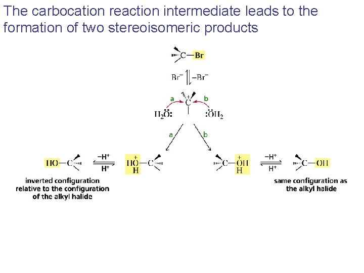 The carbocation reaction intermediate leads to the formation of two stereoisomeric products 