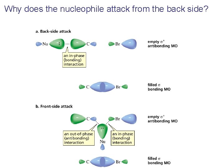 Why does the nucleophile attack from the back side? 
