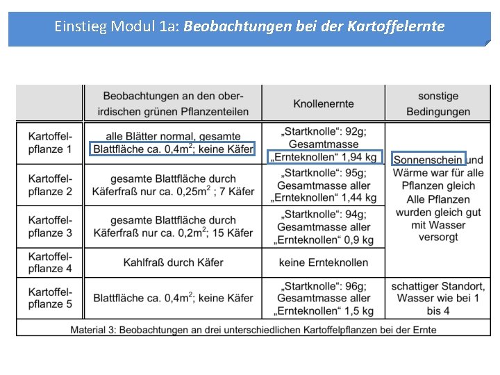 Einstieg Modul 1 a: Beobachtungen bei der Kartoffelernte 