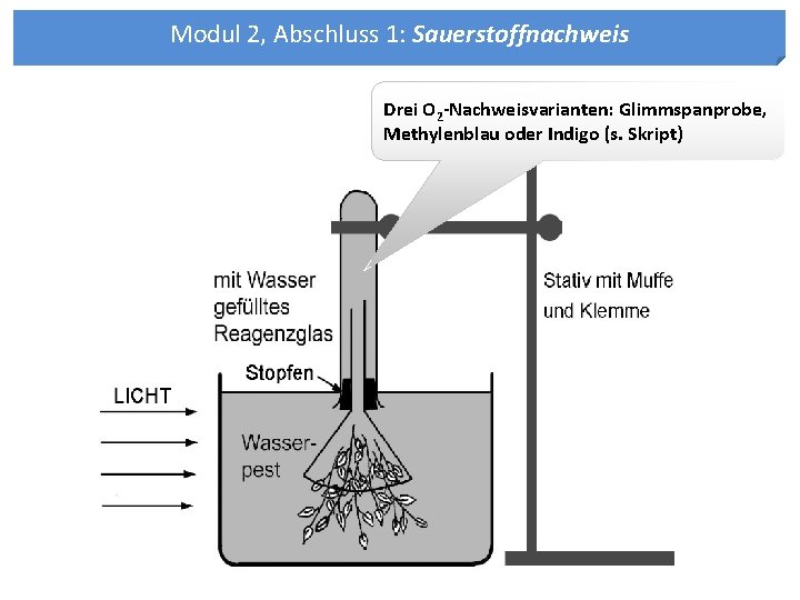 Modul 2, Abschluss 1: Sauerstoffnachweis Drei O 2 -Nachweisvarianten: Glimmspanprobe, Methylenblau oder Indigo (s. Modul 2, Abschluss 1: Sauerstoffnachweis Drei O 2 -Nachweisvarianten: Glimmspanprobe, Methylenblau oder Indigo (s.