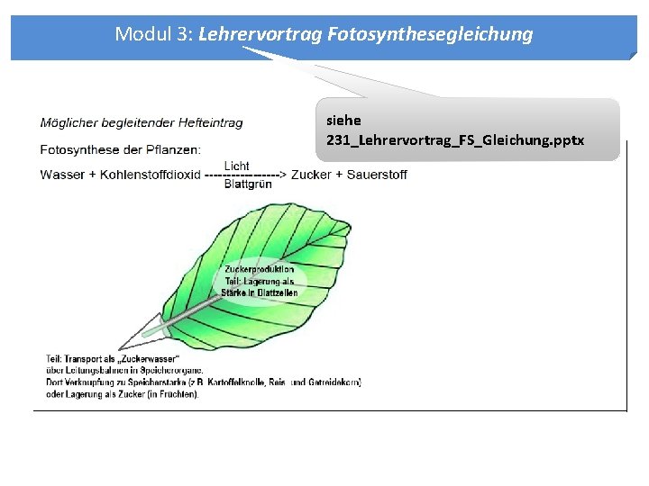 Modul 3: Lehrervortrag Fotosynthesegleichung siehe 231_Lehrervortrag_FS_Gleichung. pptx 