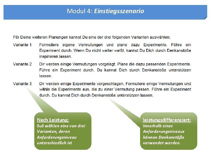 Modul 4: Einstiegsszenario Nach Leistung: Su. S wählen eine von drei Varianten, deren Anforderungsniveau Modul 4: Einstiegsszenario Nach Leistung: Su. S wählen eine von drei Varianten, deren Anforderungsniveau