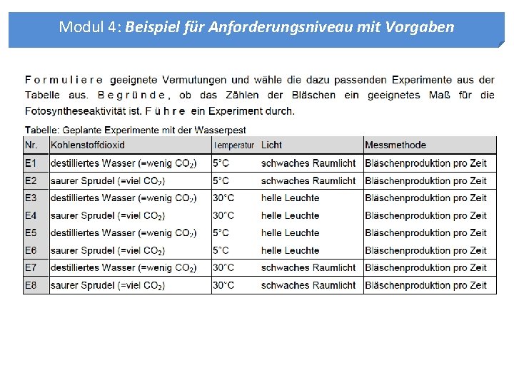 Modul 4: Beispiel für Anforderungsniveau mit Vorgaben 