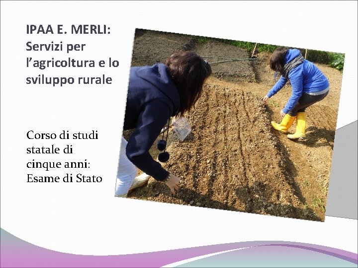 IPAA E. MERLI: Servizi per l’agricoltura e lo sviluppo rurale Corso di studi statale