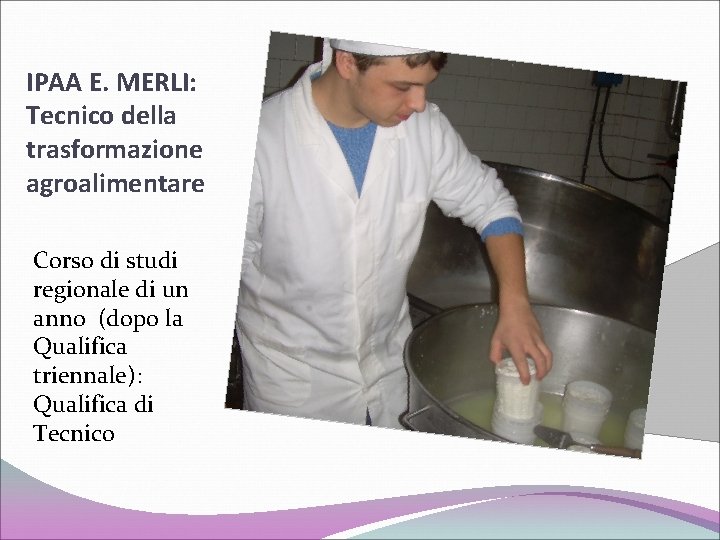 IPAA E. MERLI: Tecnico della trasformazione agroalimentare Corso di studi regionale di un anno