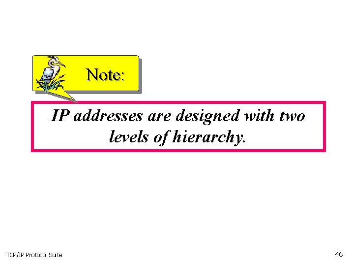 Note: IP addresses are designed with two levels of hierarchy. TCP/IP Protocol Suite 46 Note: IP addresses are designed with two levels of hierarchy. TCP/IP Protocol Suite 46