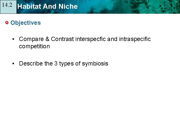 14. 2 14. 1 Habitat And Niche Objectives • Compare & Contrast interspecfic and