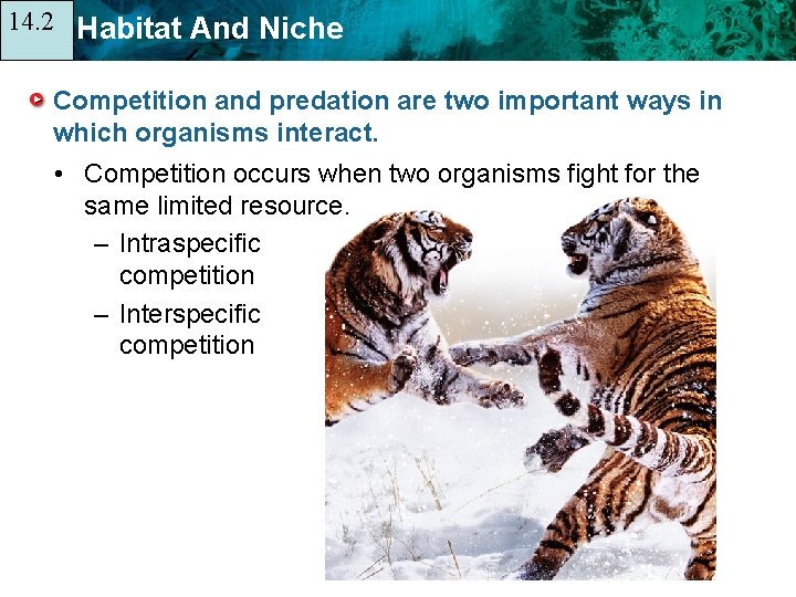 14. 2 14. 1 Habitat And Niche Competition and predation are two important ways