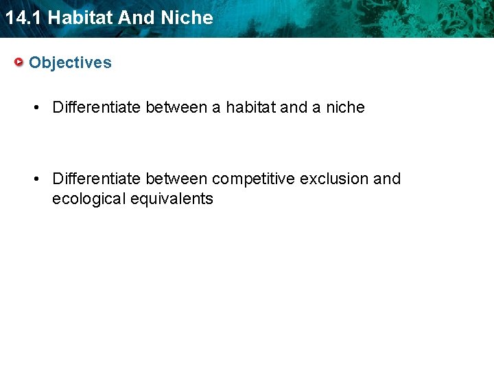 14. 1 Habitat And Niche Objectives • Differentiate between a habitat and a niche