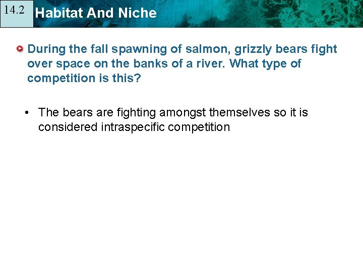 14. 2 14. 1 Habitat And Niche During the fall spawning of salmon, grizzly