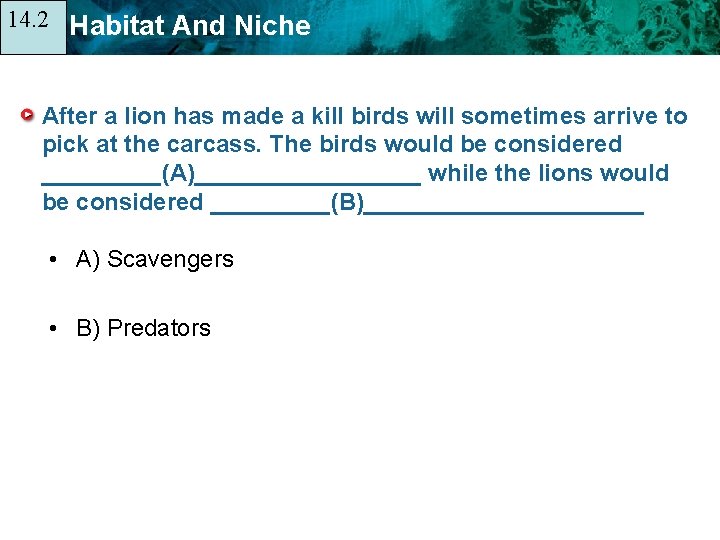 14. 2 14. 1 Habitat And Niche After a lion has made a kill