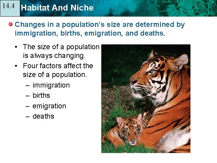 14. 4 14. 1 Habitat And Niche Changes in a population’s size are determined