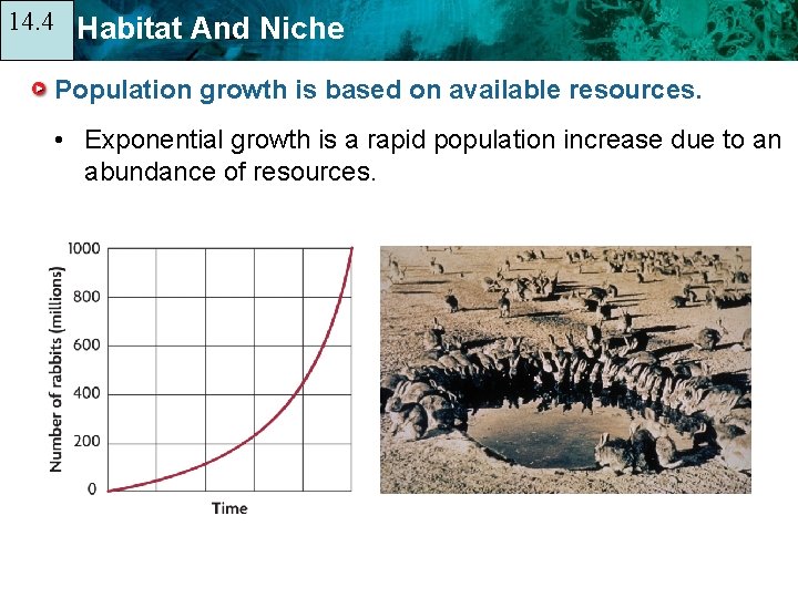 14. 4 14. 1 Habitat And Niche Population growth is based on available resources.
