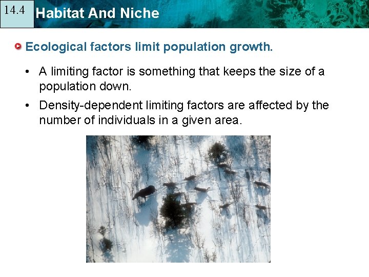 14. 4 14. 1 Habitat And Niche Ecological factors limit population growth. • A