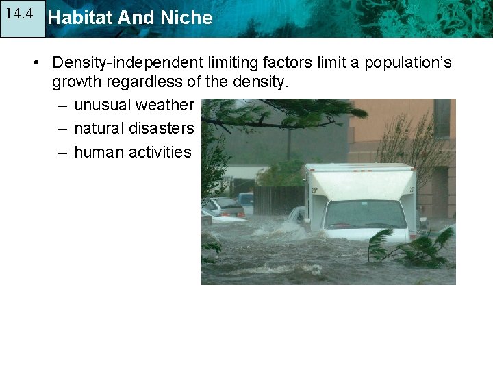 14. 4 14. 1 Habitat And Niche • Density-independent limiting factors limit a population’s