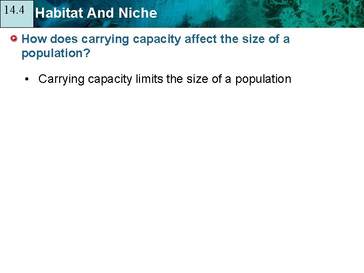 14. 4 14. 1 Habitat And Niche How does carrying capacity affect the size