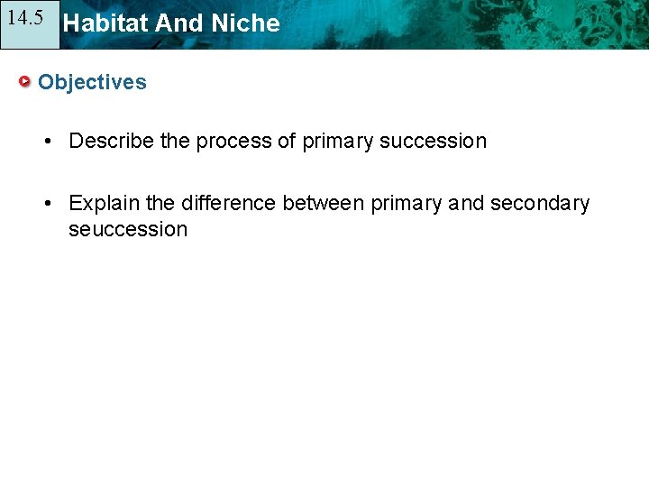 14. 5 14. 1 Habitat And Niche Objectives • Describe the process of primary