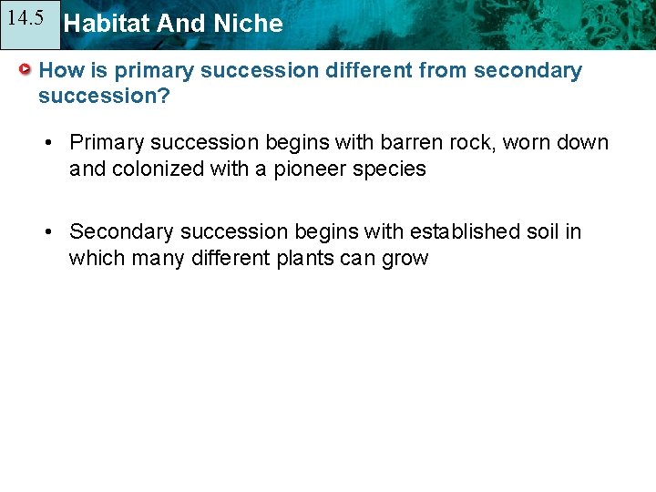 14. 5 14. 1 Habitat And Niche How is primary succession different from secondary