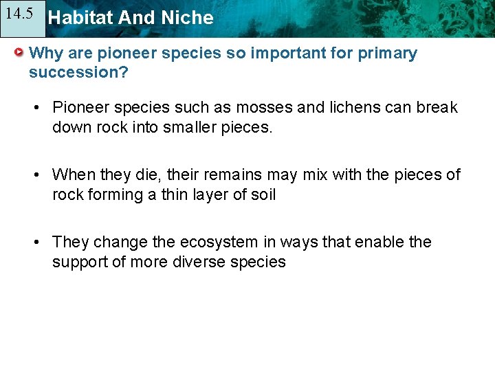 14. 5 14. 1 Habitat And Niche Why are pioneer species so important for