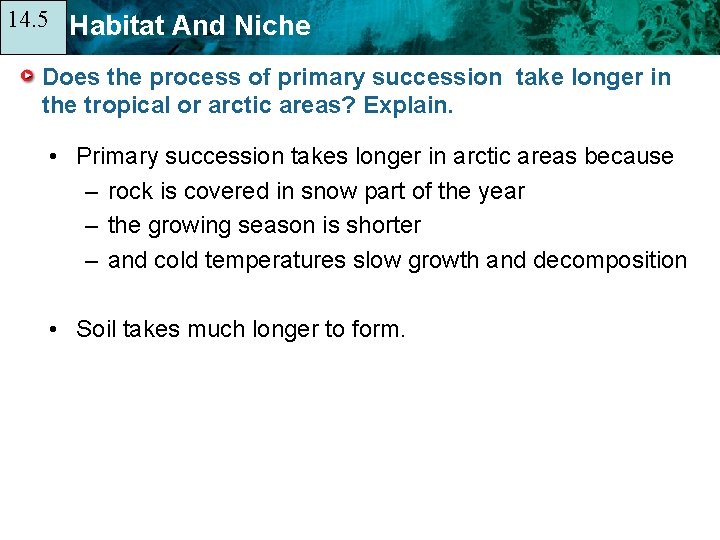 14. 5 14. 1 Habitat And Niche Does the process of primary succession take