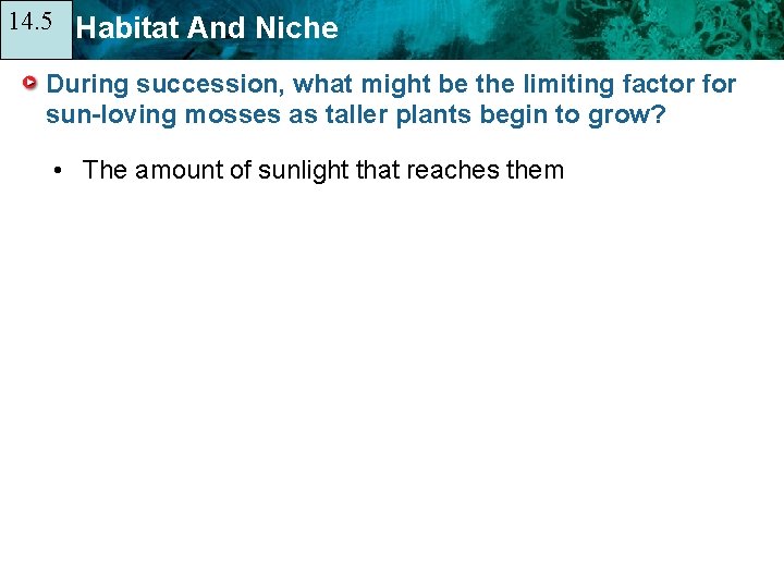 14. 5 14. 1 Habitat And Niche During succession, what might be the limiting