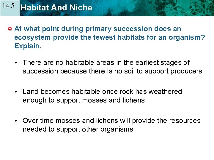 14. 5 14. 1 Habitat And Niche At what point during primary succession does