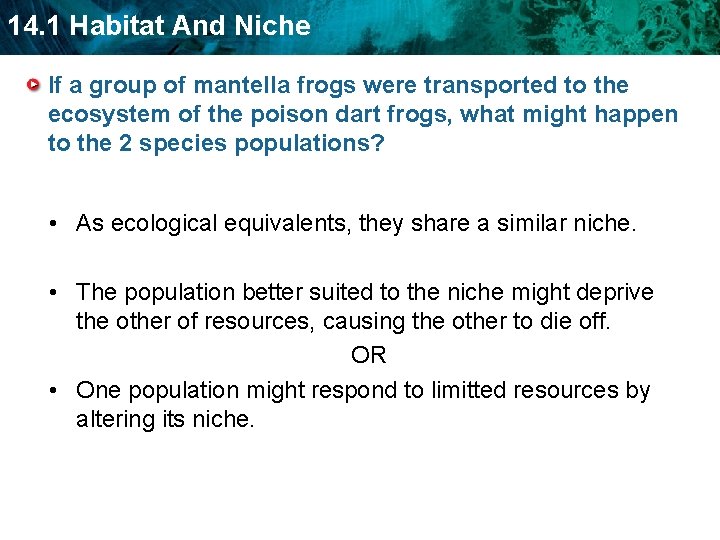14. 1 Habitat And Niche If a group of mantella frogs were transported to