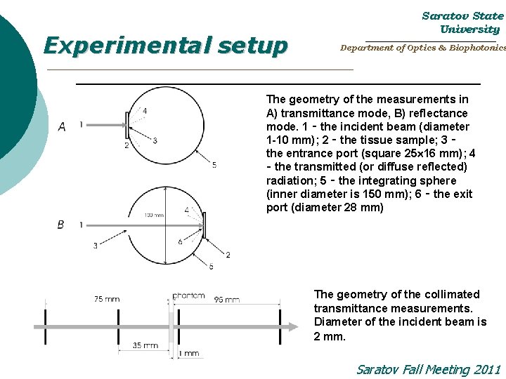 Experimental setup Saratov State University _______________________ Department of Optics & Biophotonics _________________________ The geometry