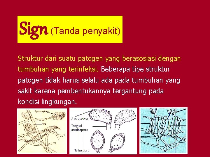 Sign (Tanda penyakit) Struktur dari suatu patogen yang berasosiasi dengan tumbuhan yang terinfeksi. Beberapa