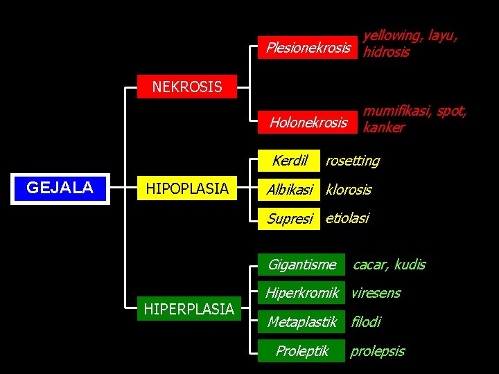 yellowing, layu, Plesionekrosis hidrosis NEKROSIS Holonekrosis Kerdil GEJALA HIPOPLASIA mumifikasi, spot, kanker rosetting Albikasi