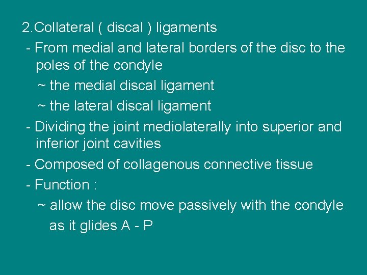 2. Collateral ( discal ) ligaments - From medial and lateral borders of the