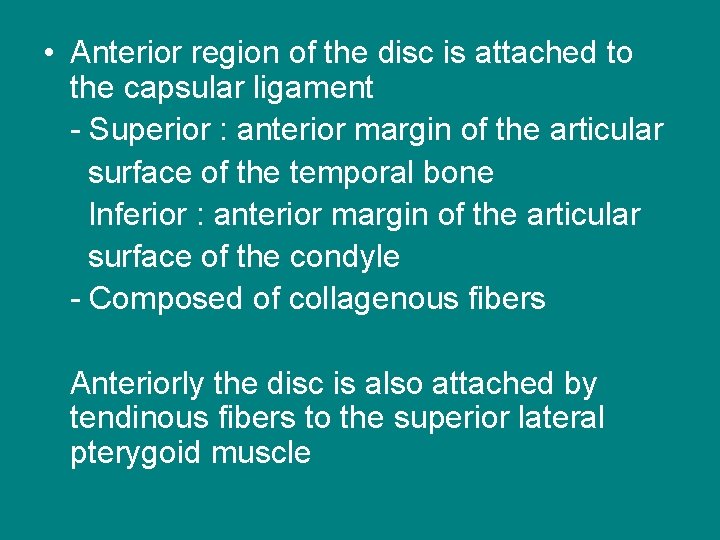  • Anterior region of the disc is attached to the capsular ligament -