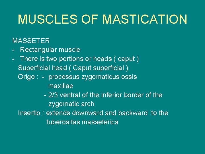 MUSCLES OF MASTICATION MASSETER - Rectangular muscle - There is two portions or heads