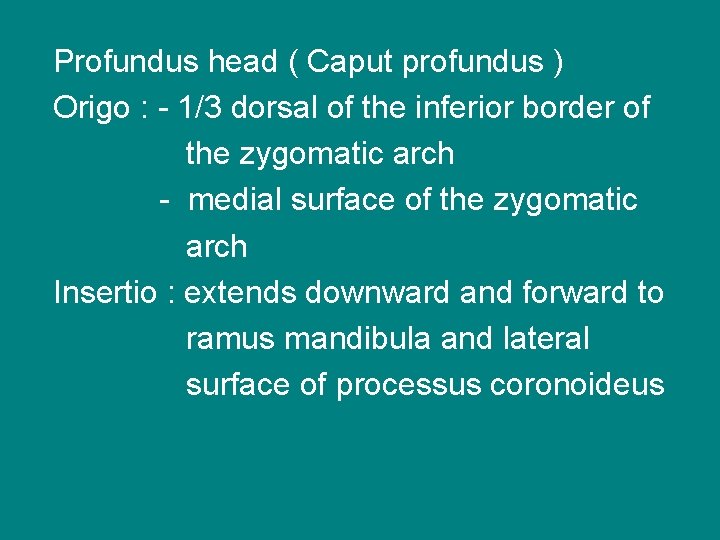 Profundus head ( Caput profundus ) Origo : - 1/3 dorsal of the inferior